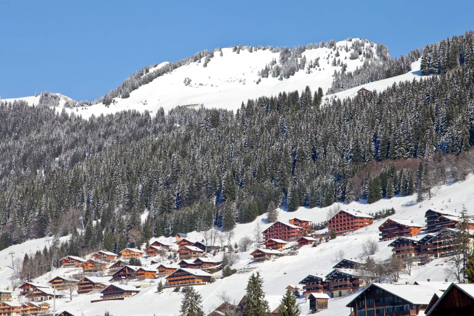 Les Fermes de Chatel 3-Area winter 1km