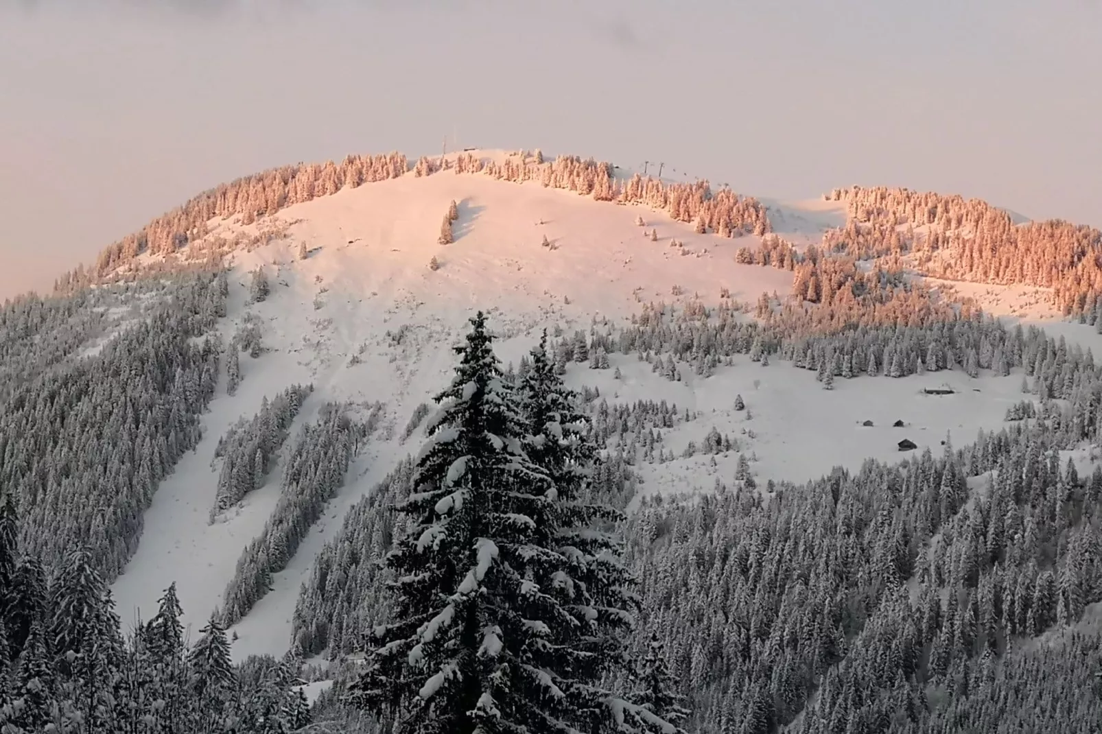Chalet Alban-Area winter 1km