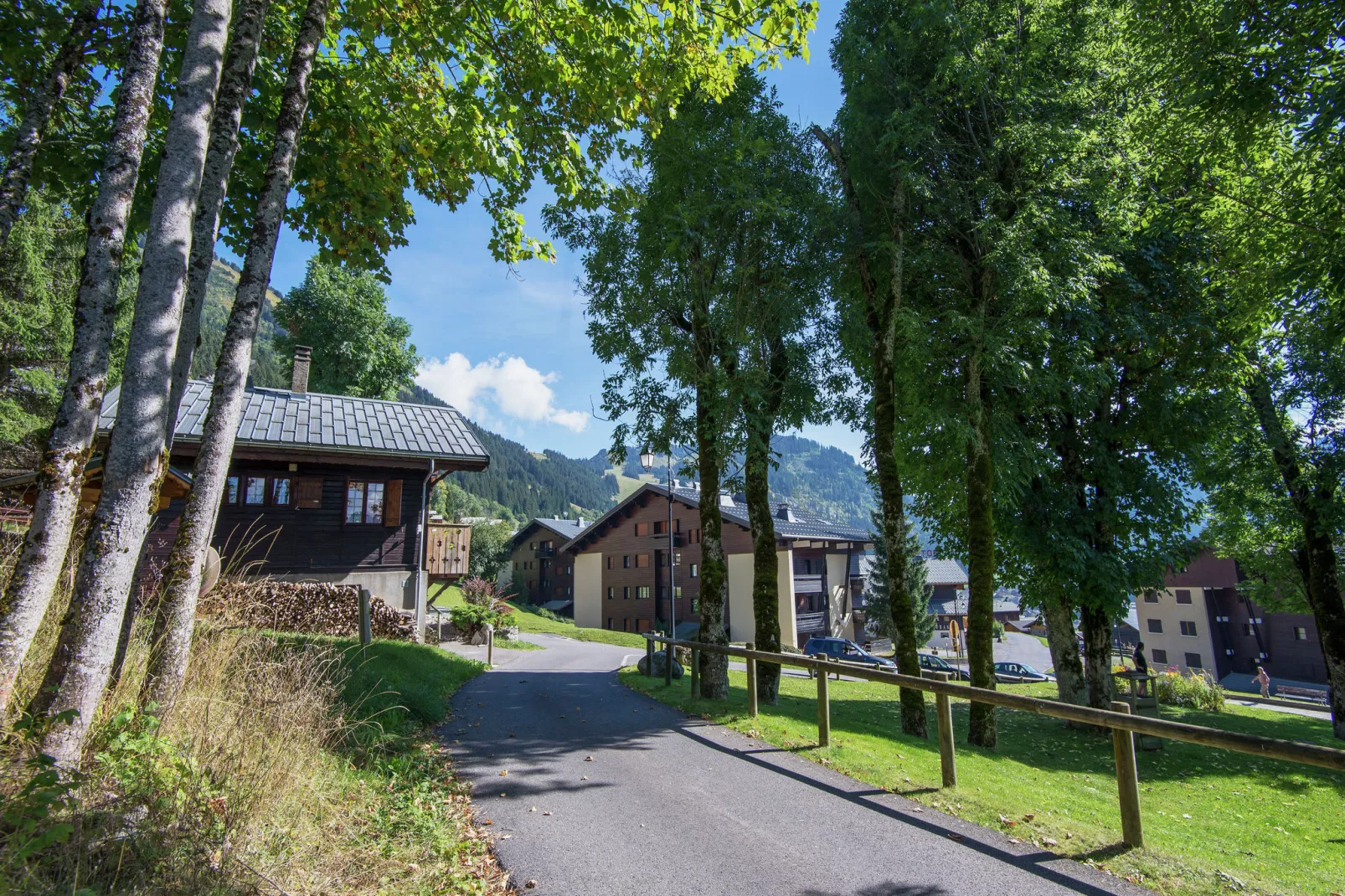 Chalet Le Nid Zut-Areas summer 1km