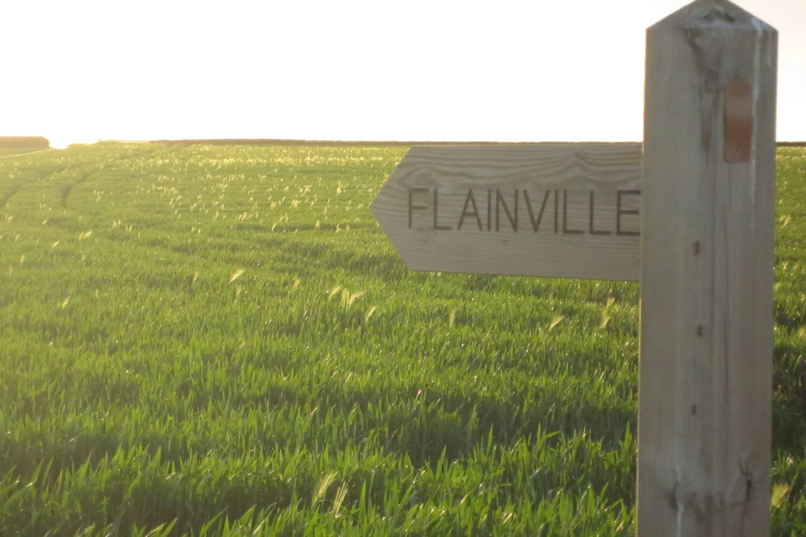 Gite Saint Julien-Areas summer 1km