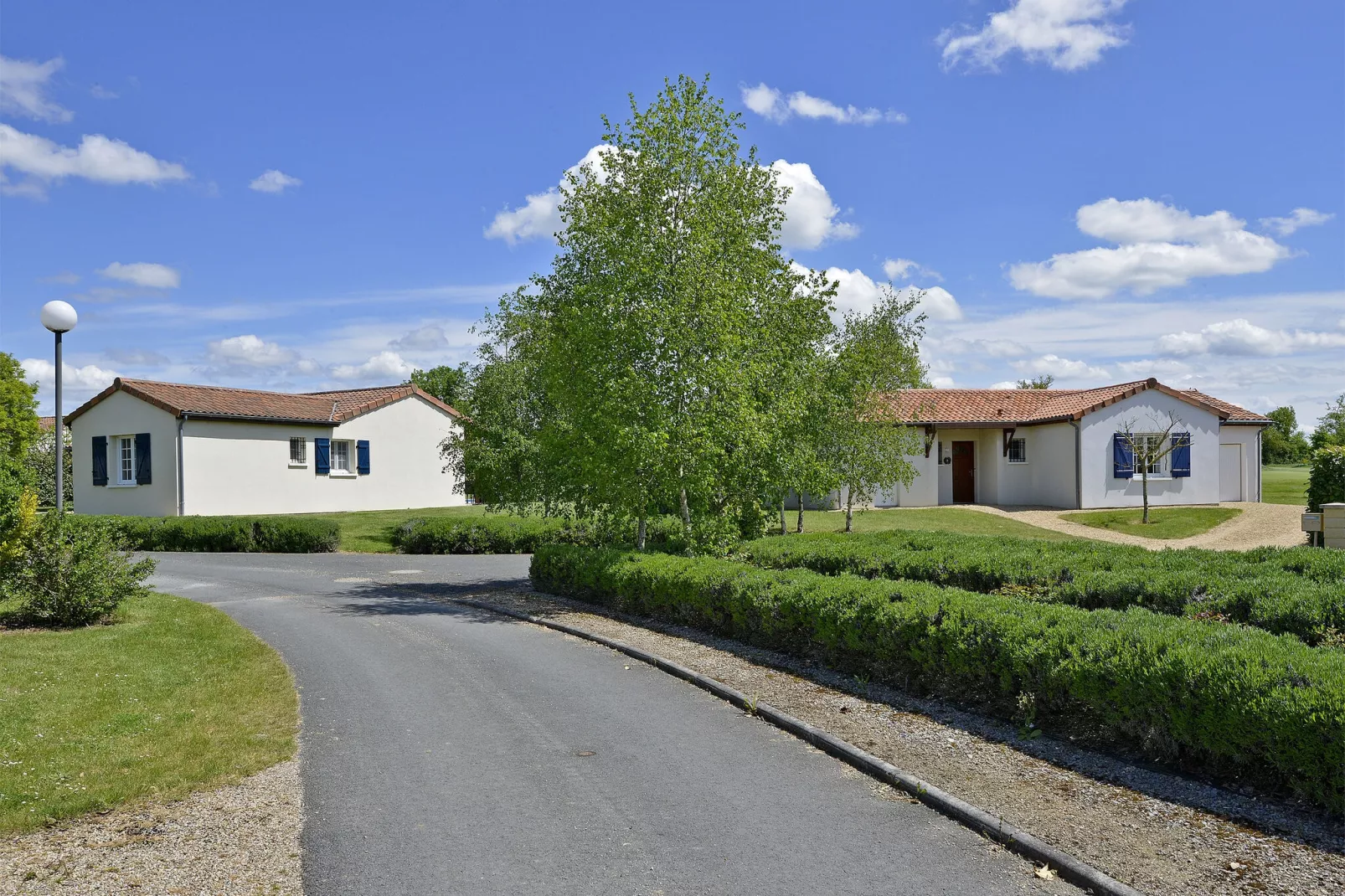 L'Aveneau - Vieille Vigne 3-Extérieur été