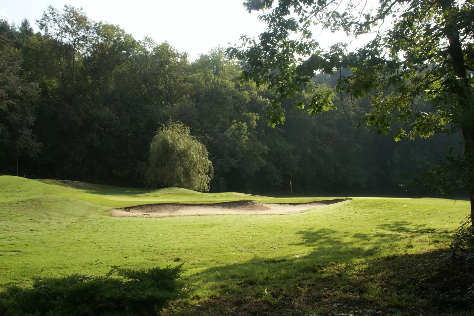 Royal Green Parc - Golf de Mazamet 1-Park facilities