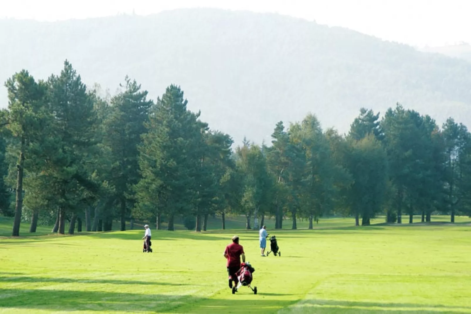 Royal Green Parc - Golf de Mazamet 1-Park facilities