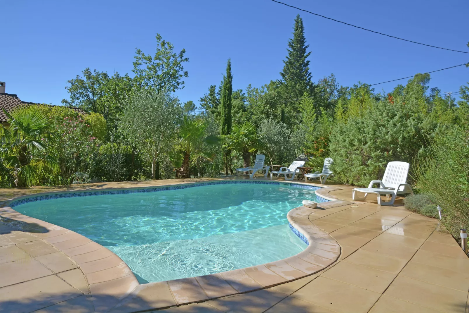 Les Lauriers-Roses-Pool