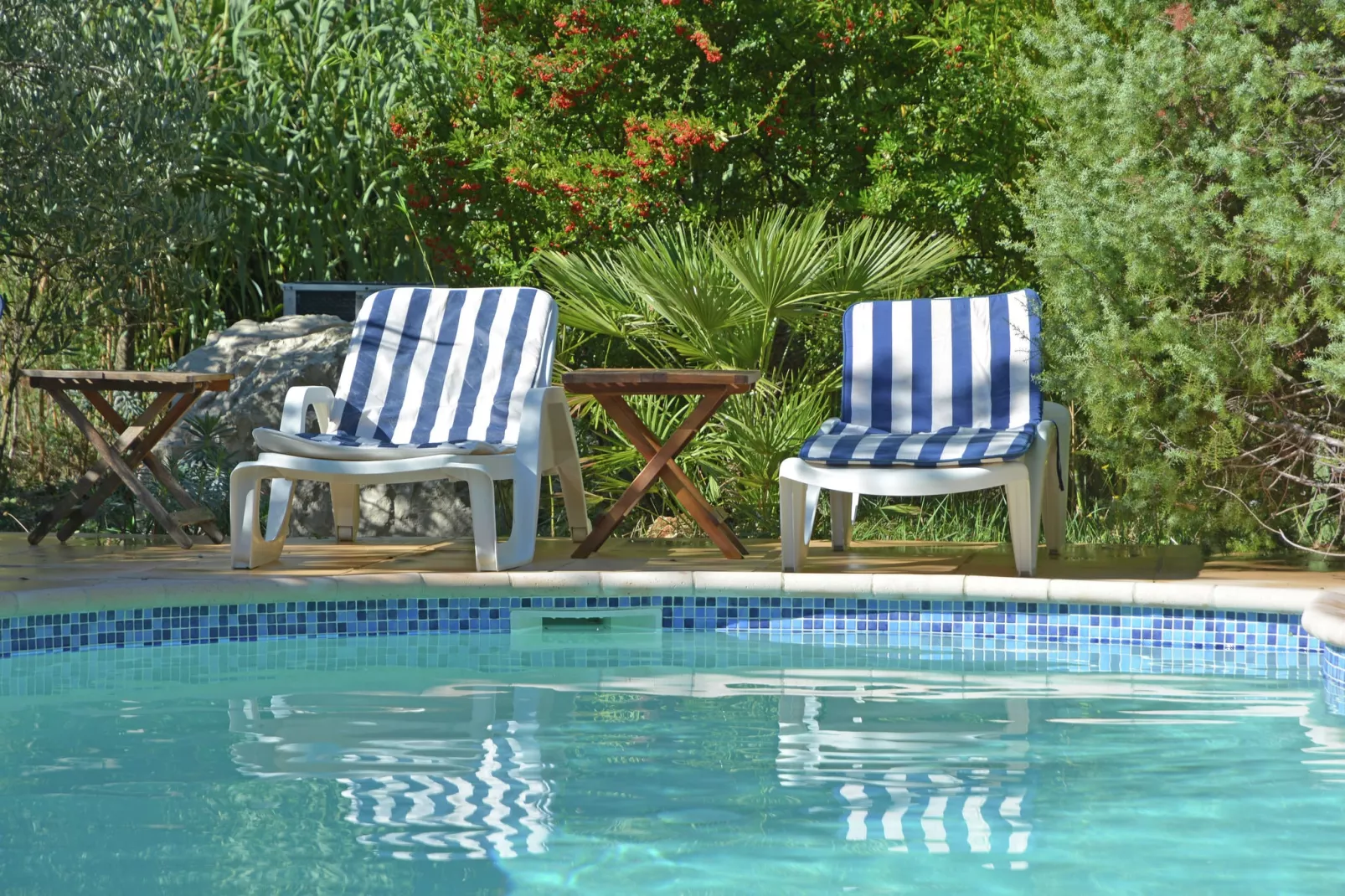 Les Lauriers-Roses-Pool