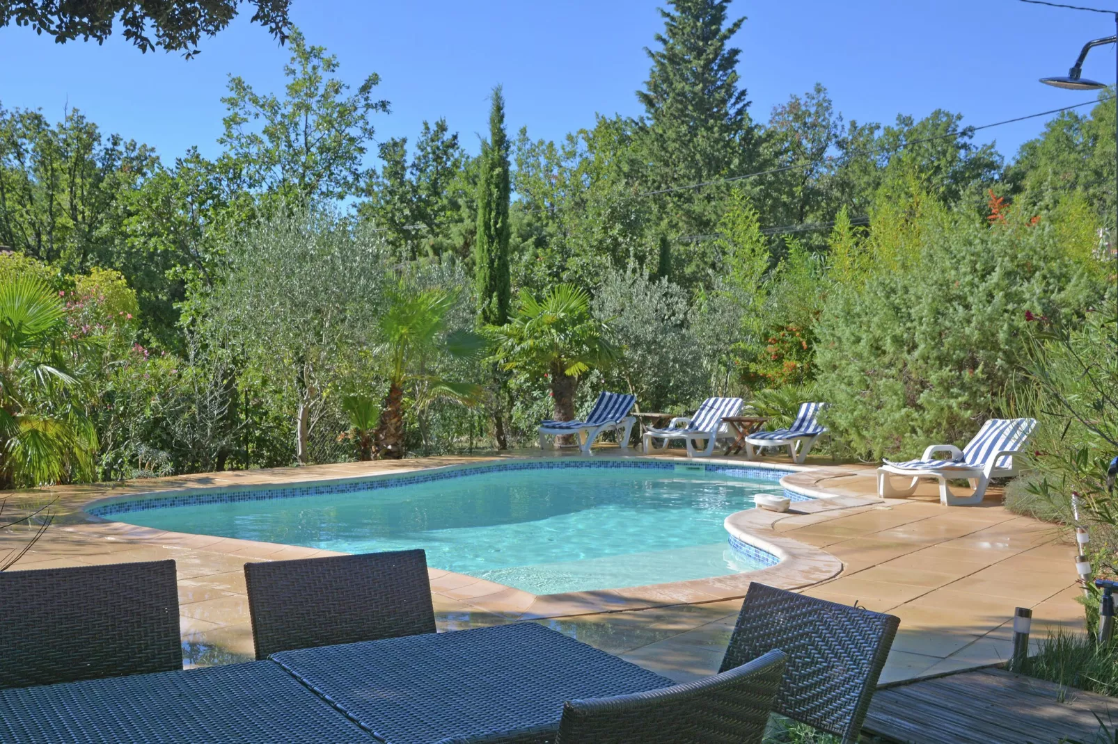 Les Lauriers-Roses-Pool