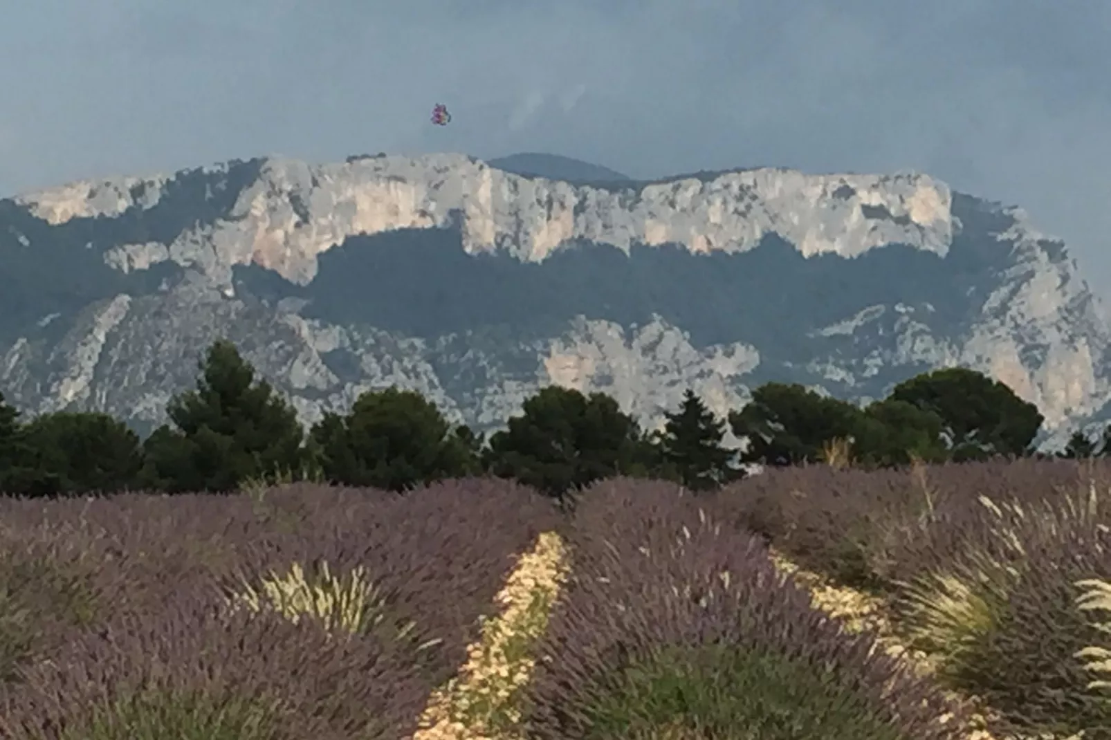 Les Lauriers-Roses-Areas summer 20km