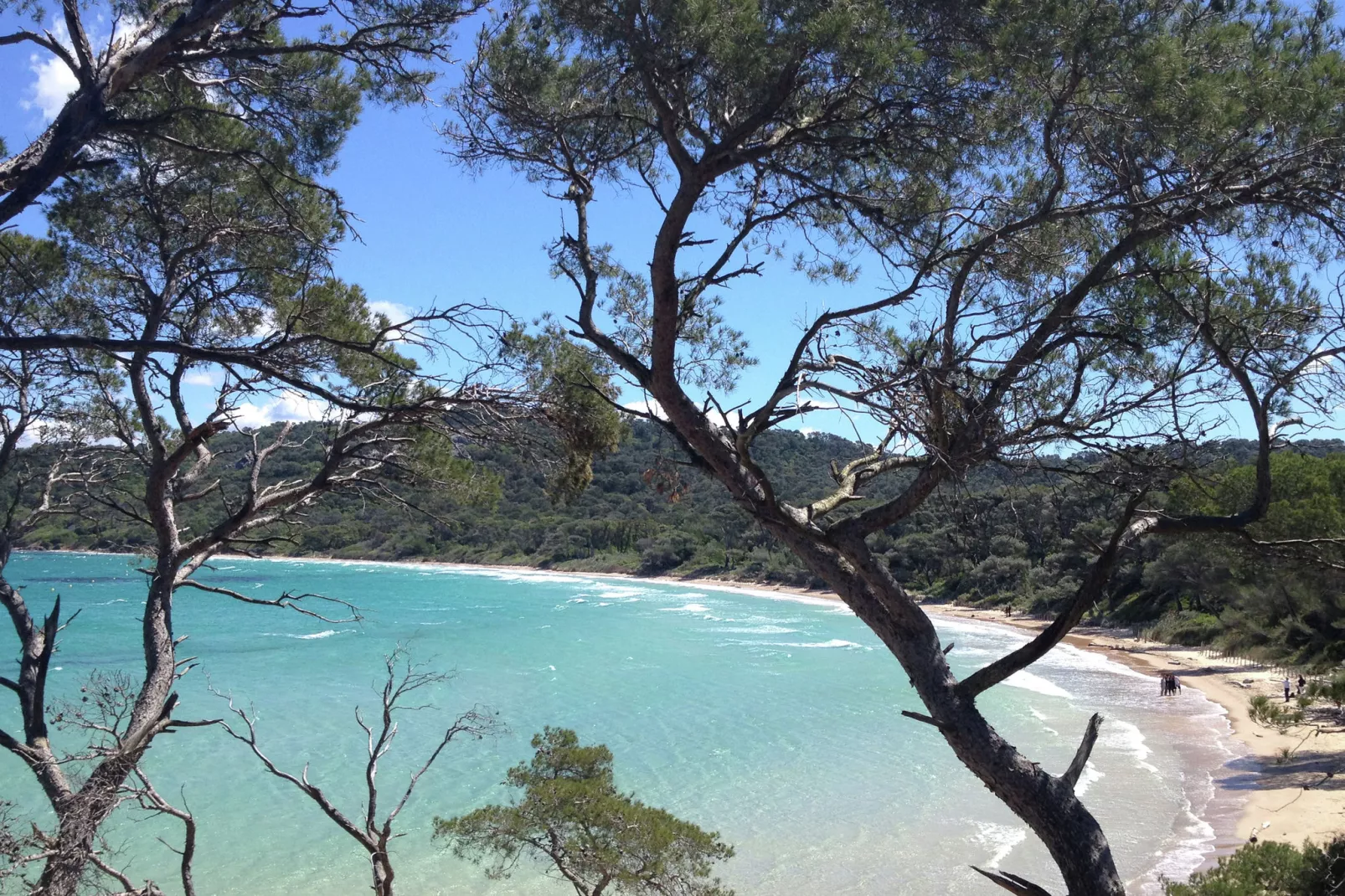 Provencal-Areas summer 20km