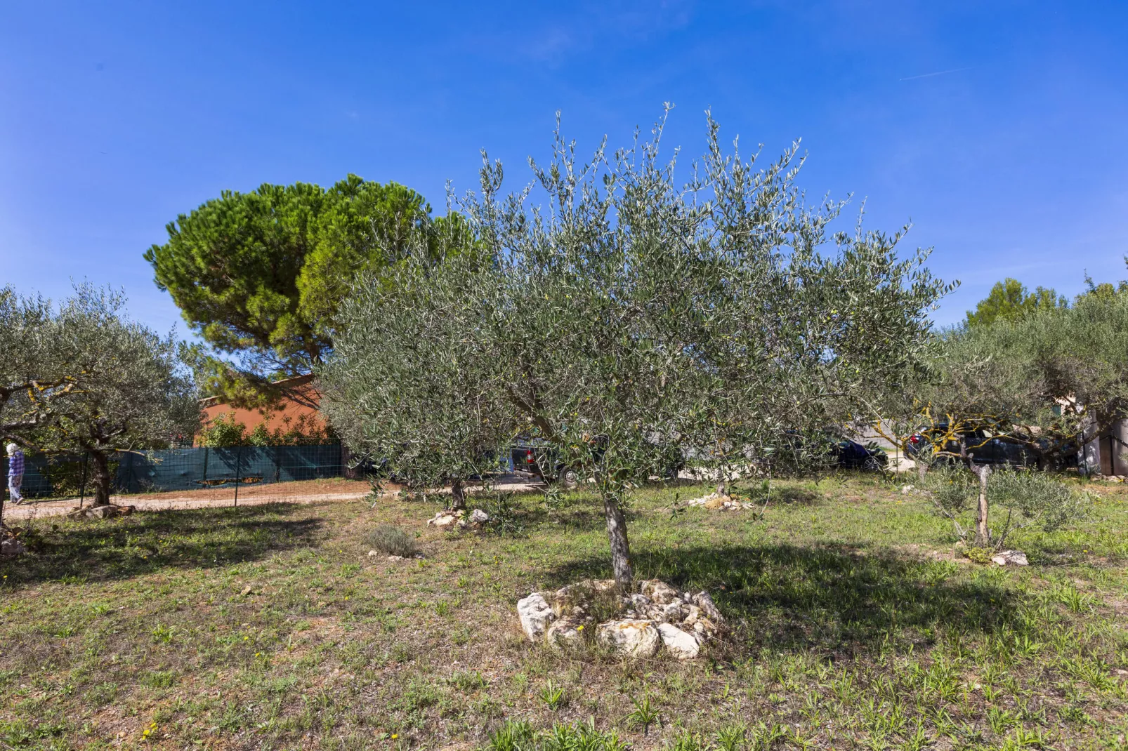 Maison Gallin-Gardens summer