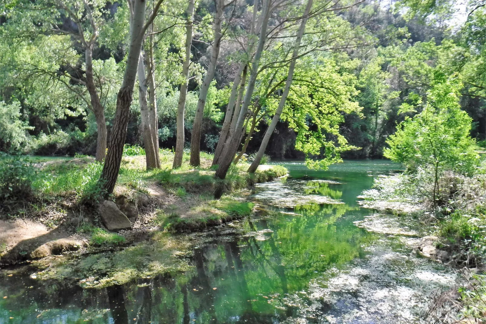 Maison Gallin-Areas summer 5km