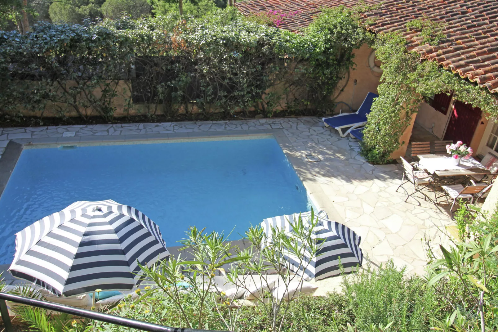 Antje la Sauvageonne-Pool