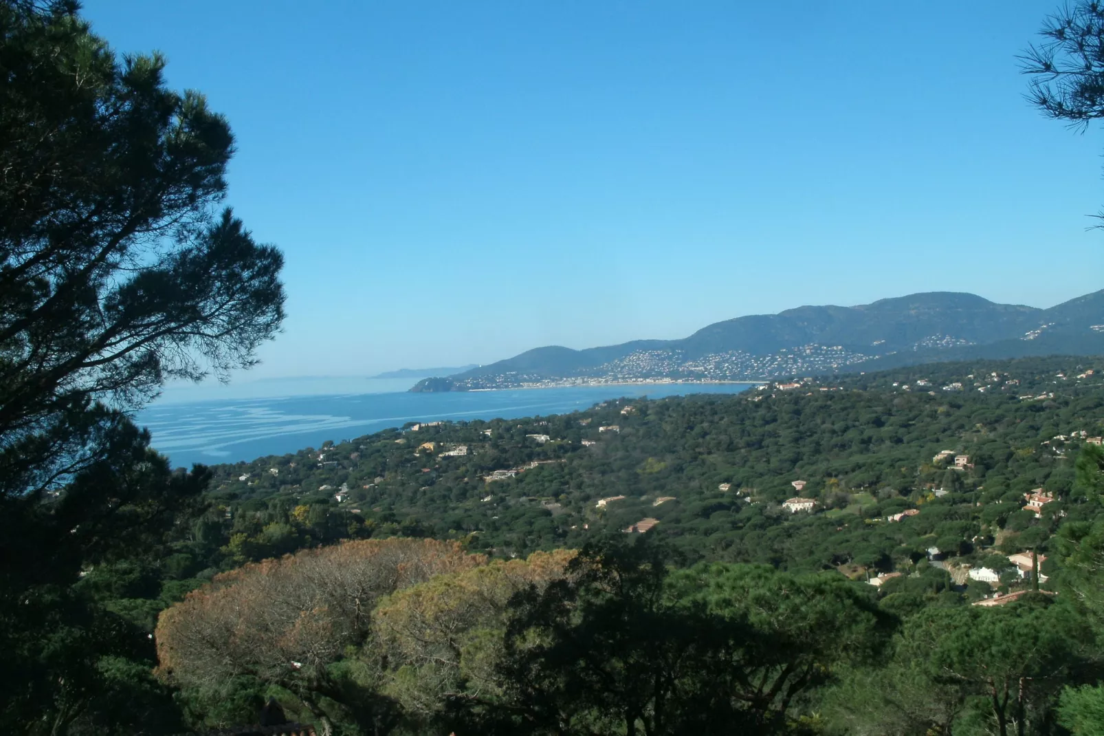Antje la Sauvageonne-Areas summer 1km