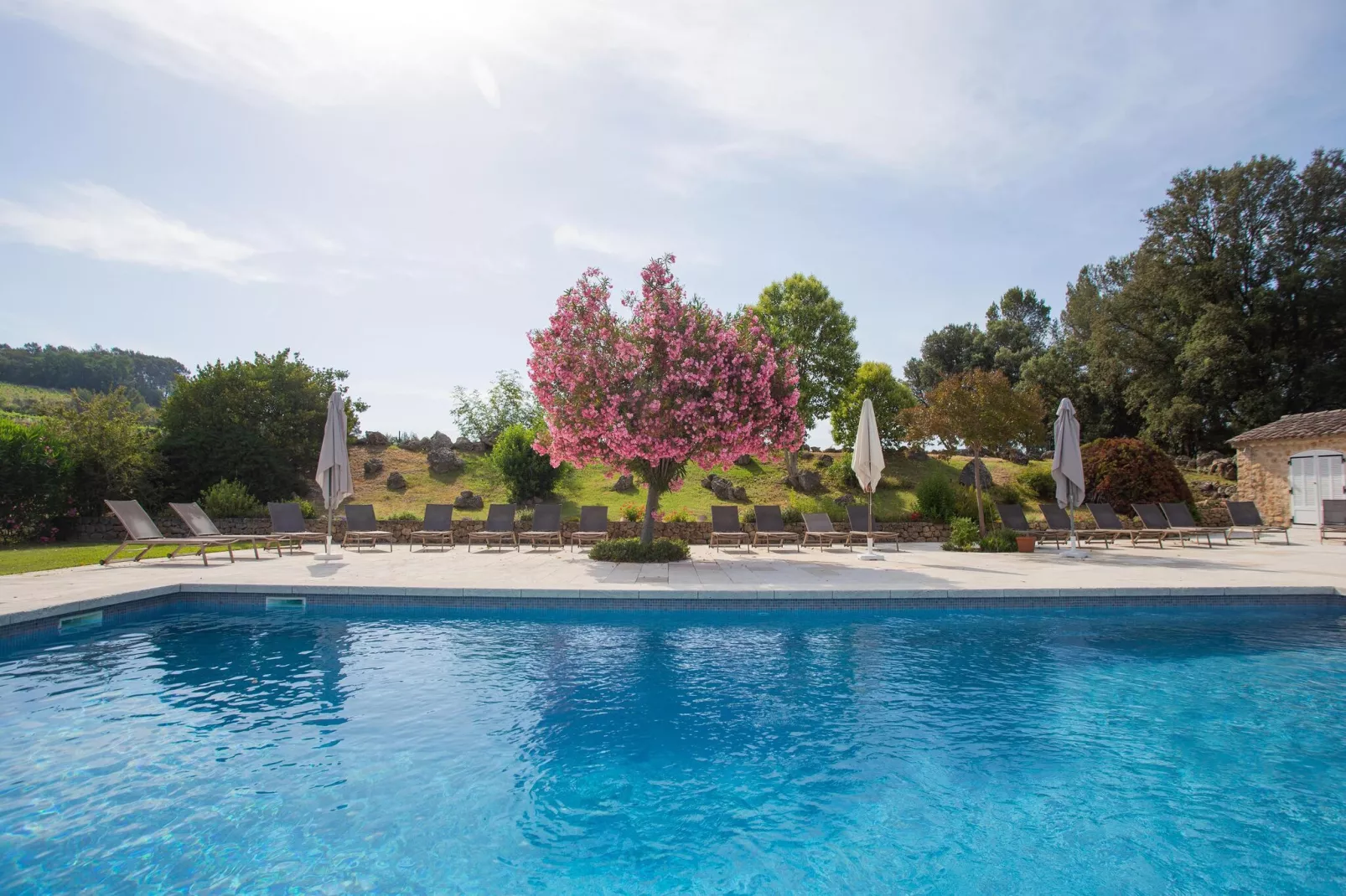 Chateau de Mappe-Pool