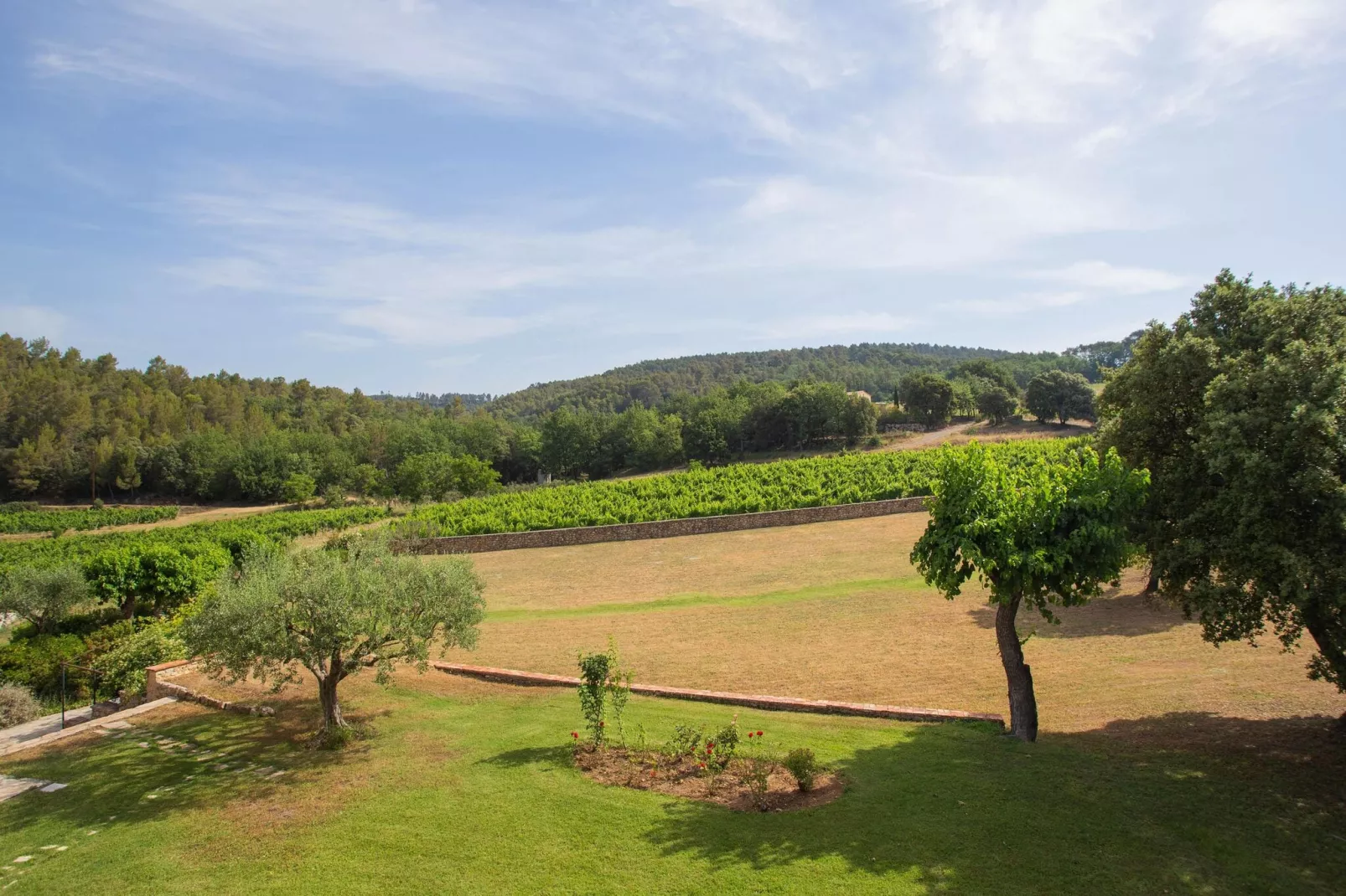 Chateau de Mappe-View summer