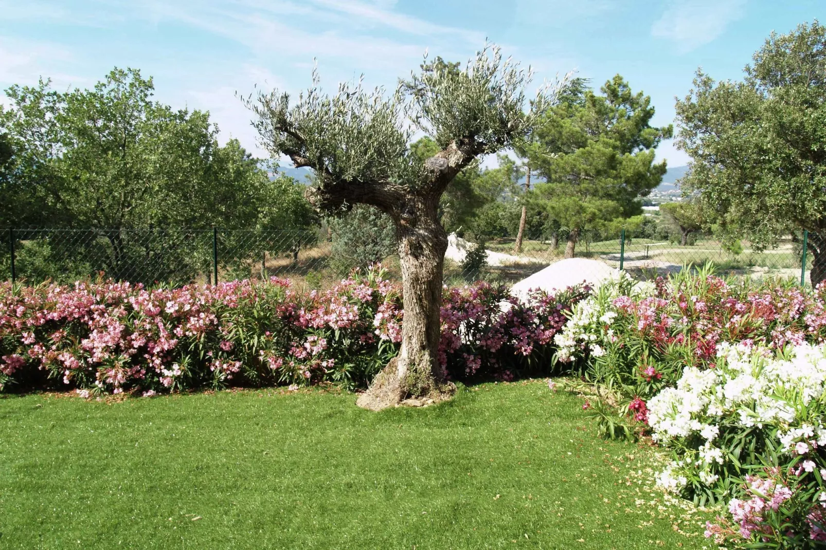 Le Green Bastide 1-View summer