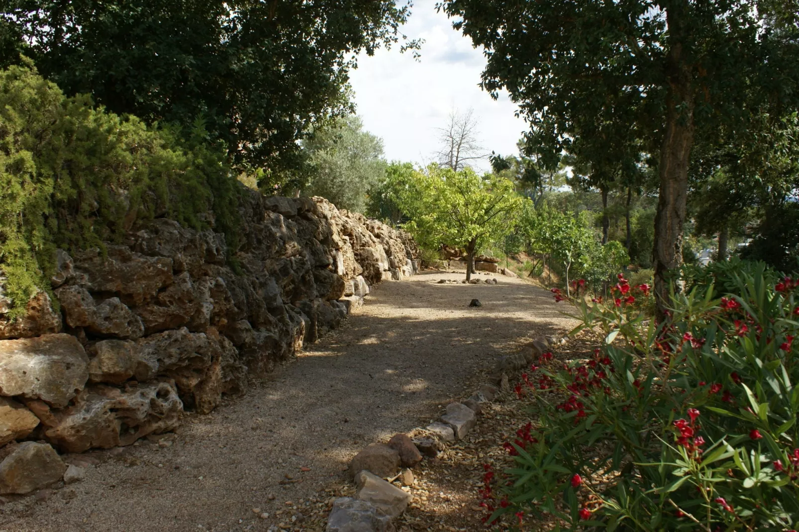 Villa la Parure-Gardens summer