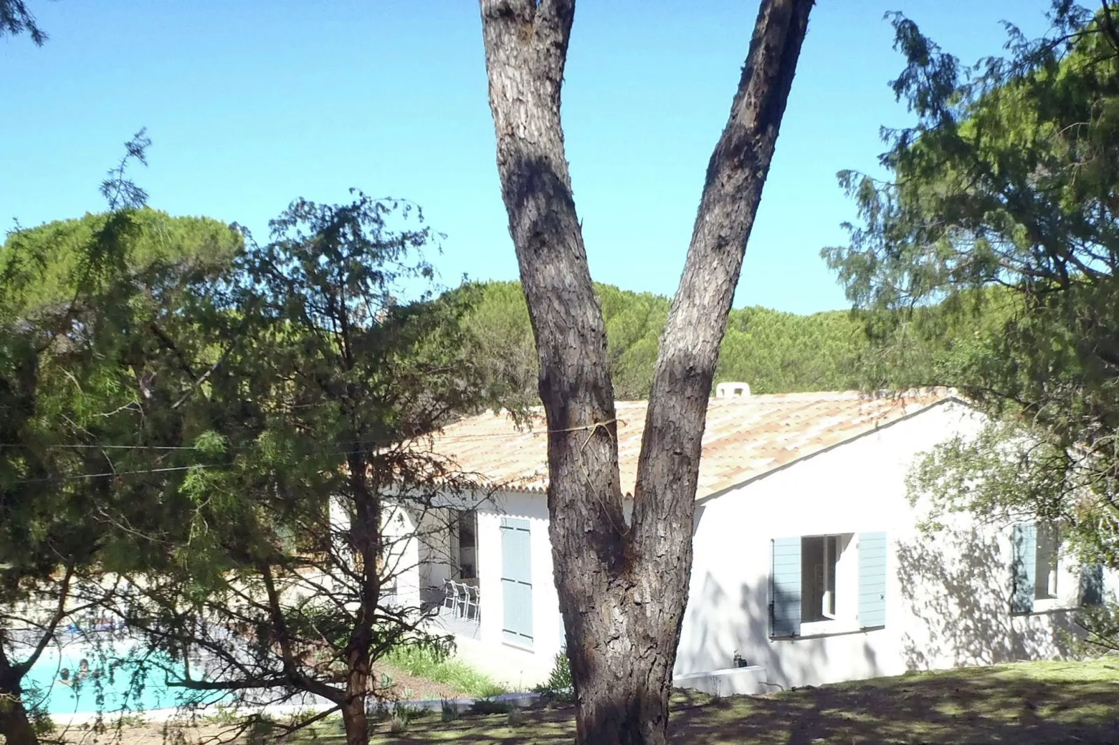 Le Rey-Gardens summer