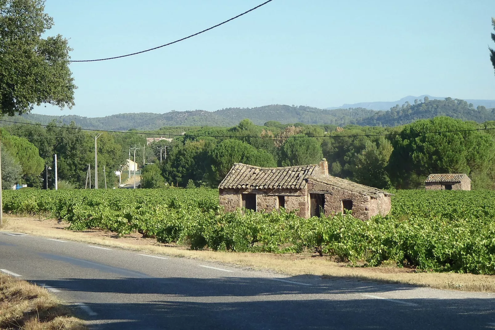 Le Rey-Areas summer 1km