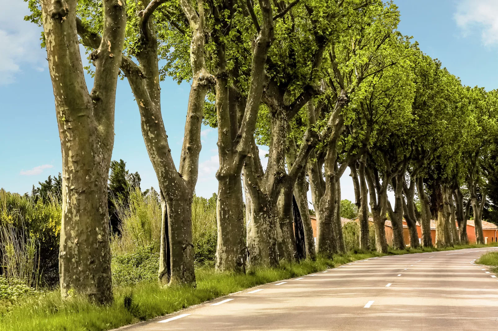 Villa Vida-Areas summer 1km