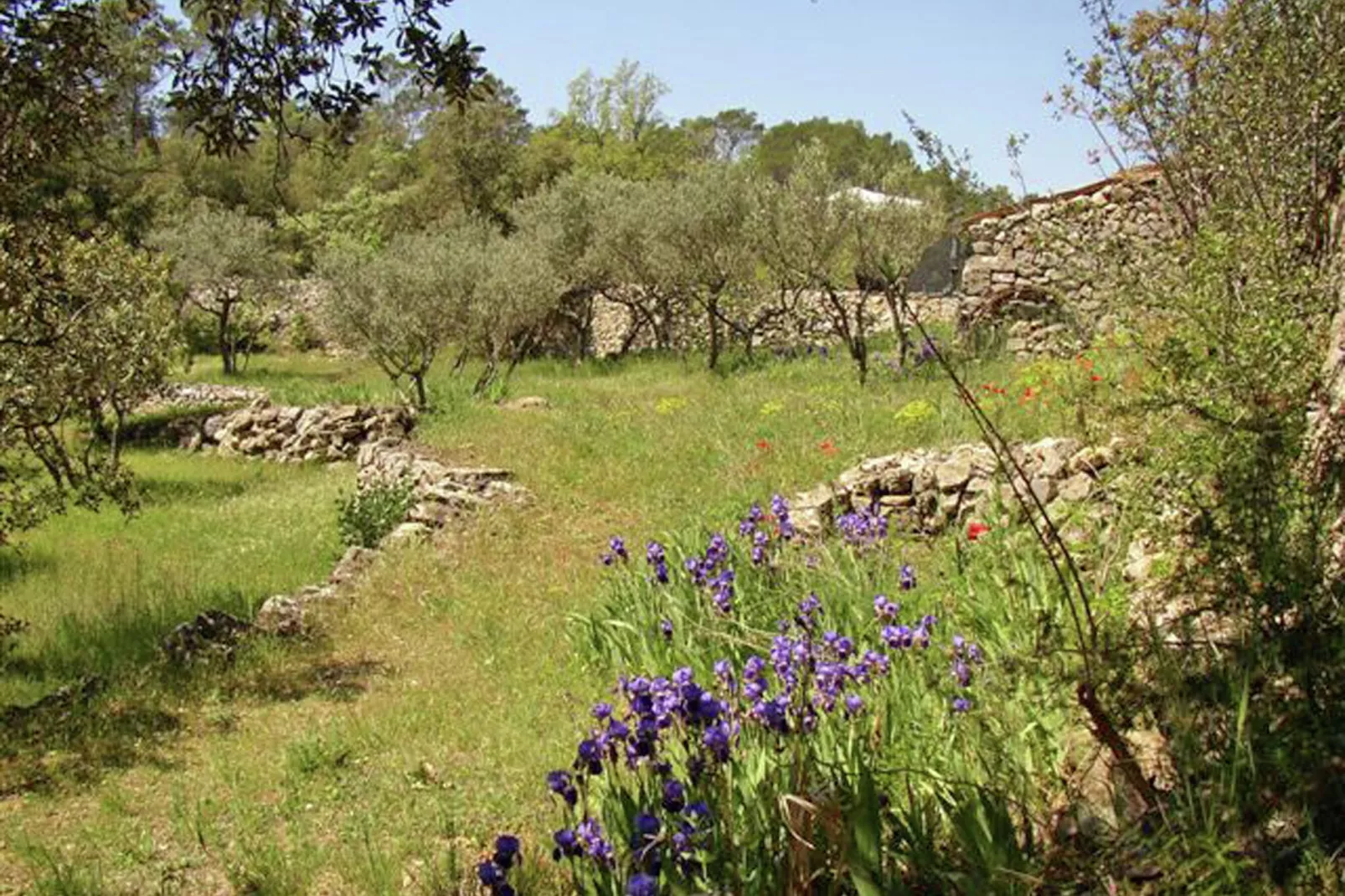 Leï Restanques-Gardens summer