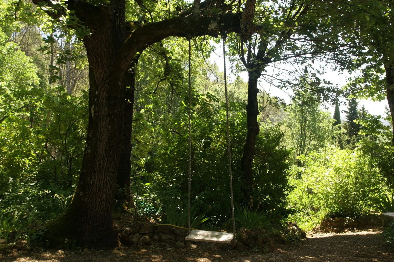 Villa Entrecasteaux-Gardens summer