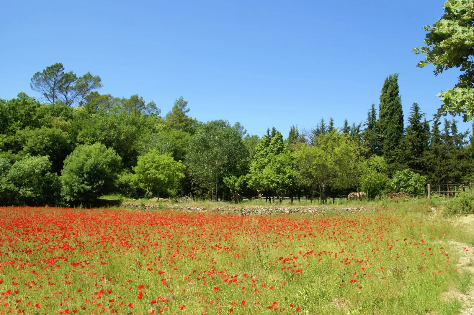 Villa Entrecasteaux-Areas summer 1km