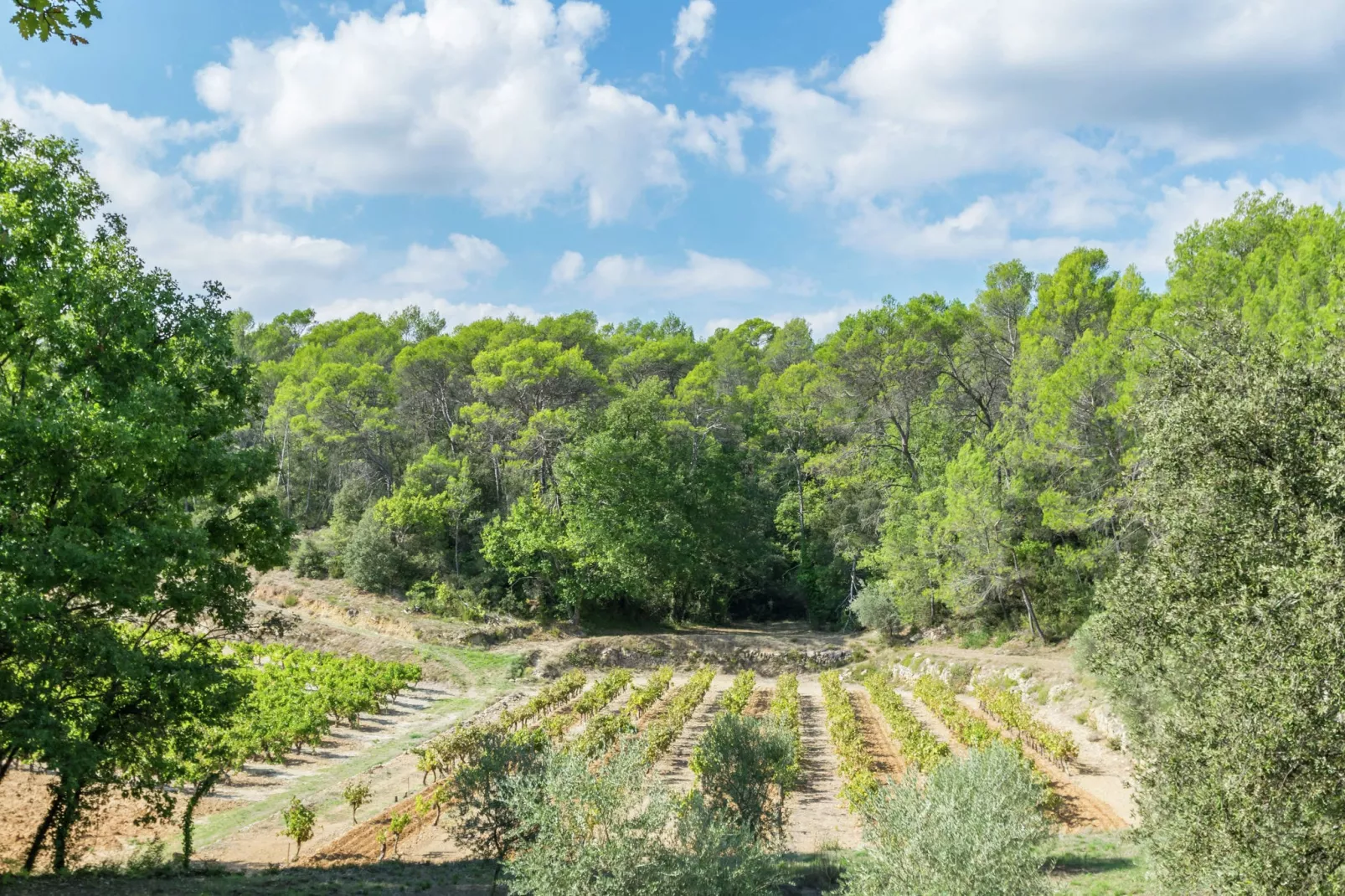 Villa Entrecasteaux-Areas summer 1km