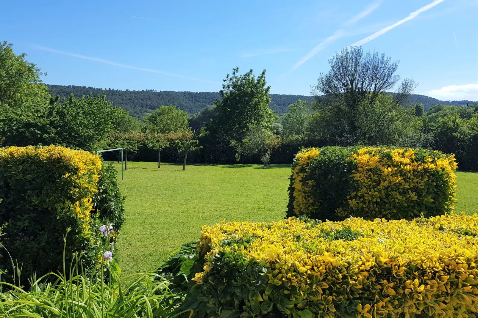 Mas la Baouque-Gardens summer