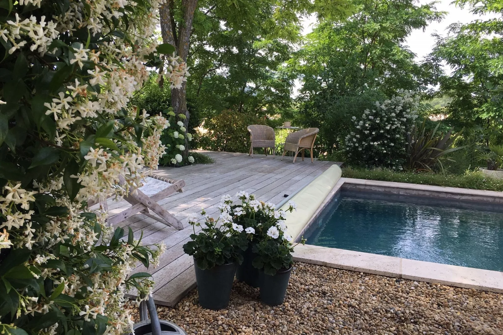 Villa Rose-Gardens summer