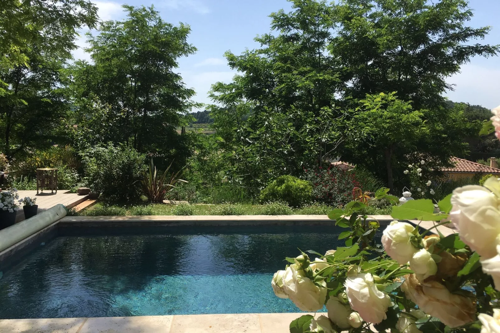 Villa Rose-Pool