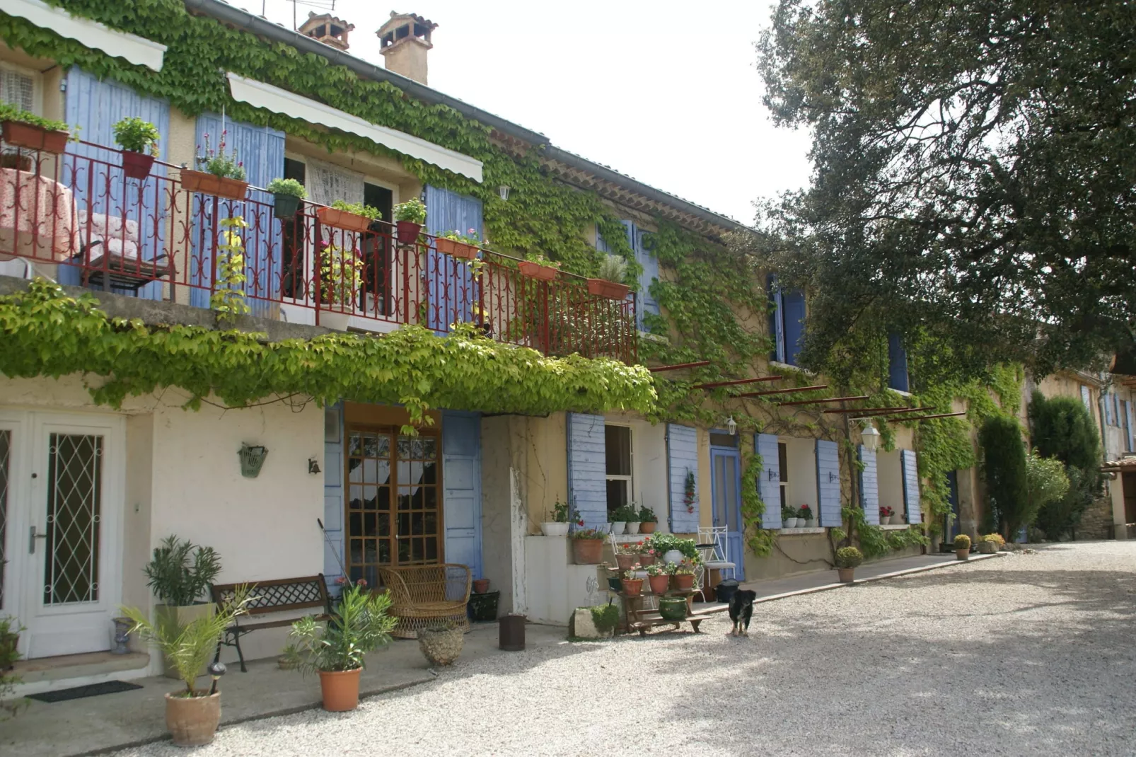 Maison de vacances Pertuis-Exterior summer