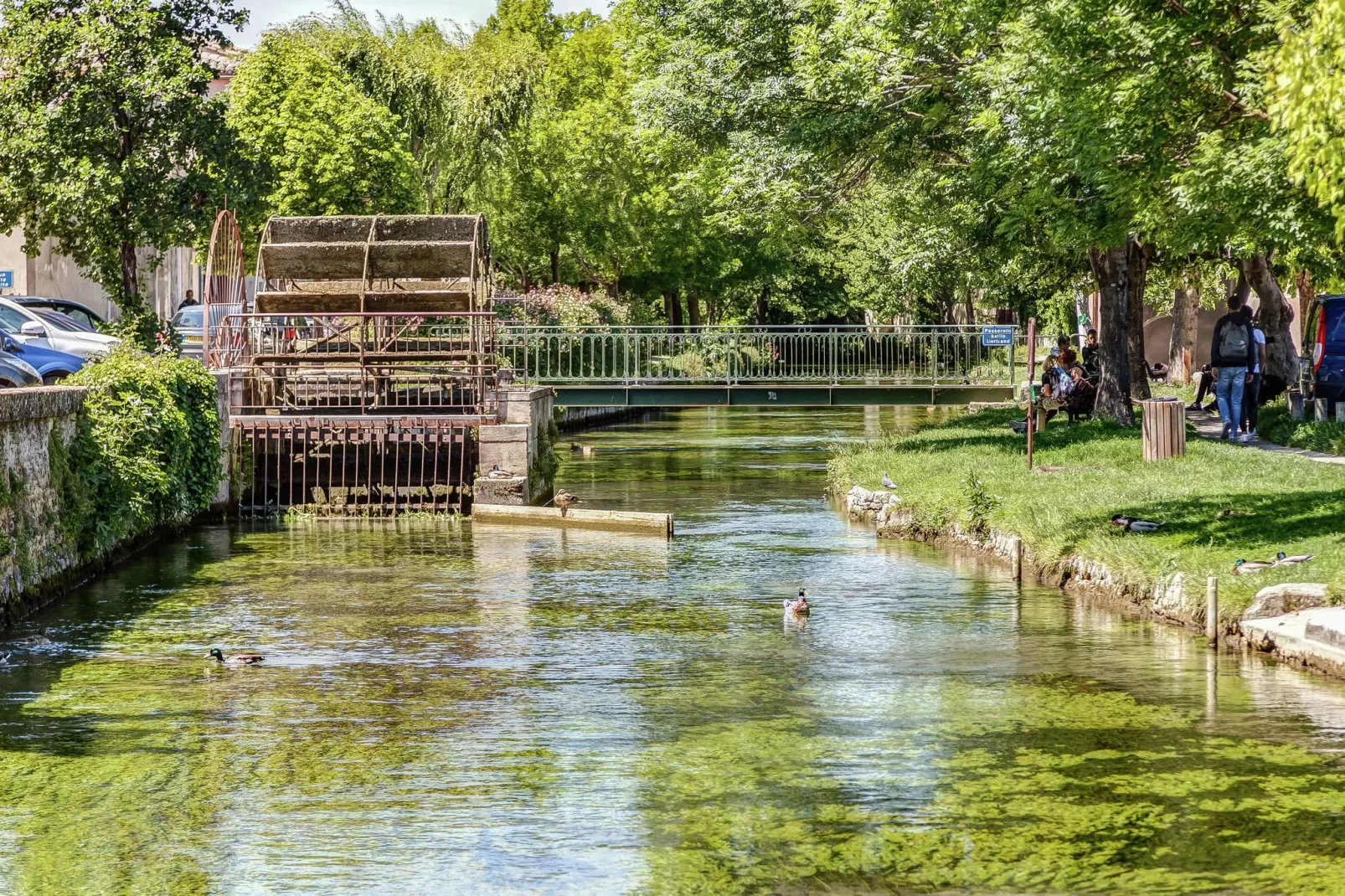 Villa - L'ISLE-SUR-LA-SORGUE-Areas summer 5km