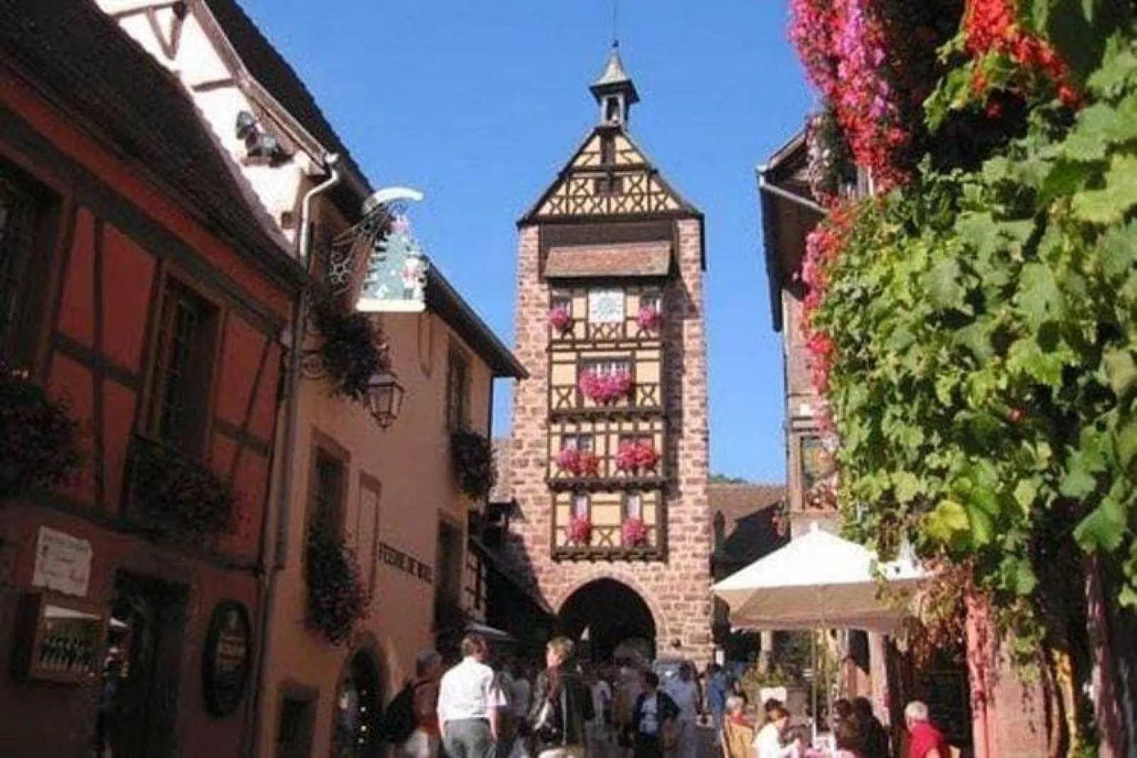 Les Chalets des Ayes 11-Areas summer 20km