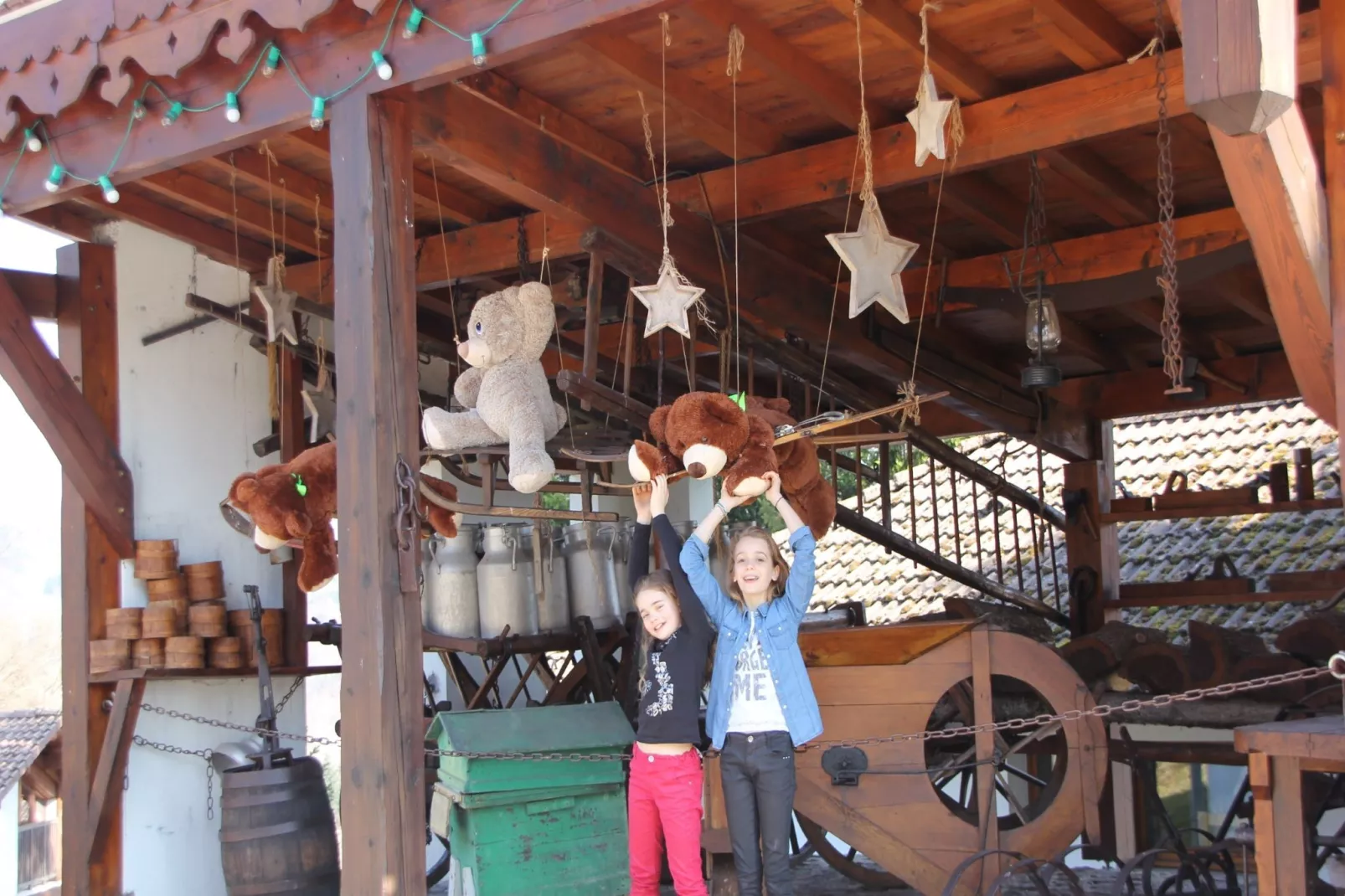 Les Chalets des Ayes 12-Gardens summer