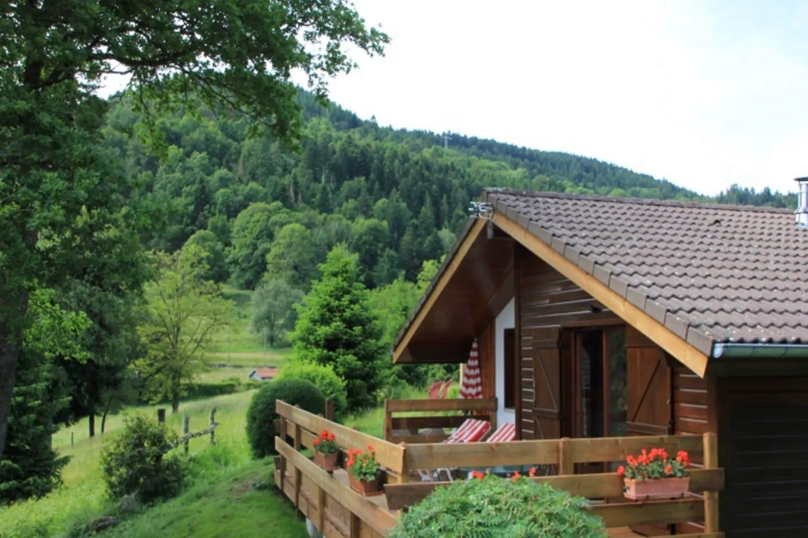 Les Chalets des Ayes 10-View summer