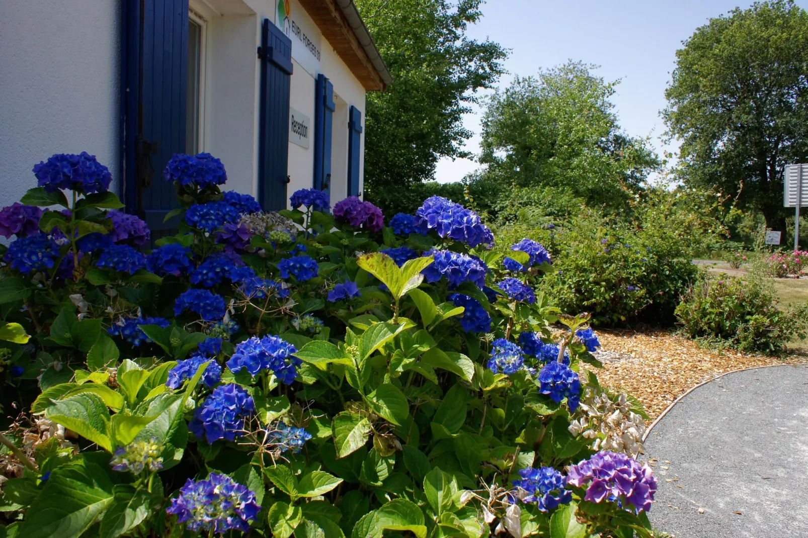 Les Forges 2 Rooms 44-Gardens summer