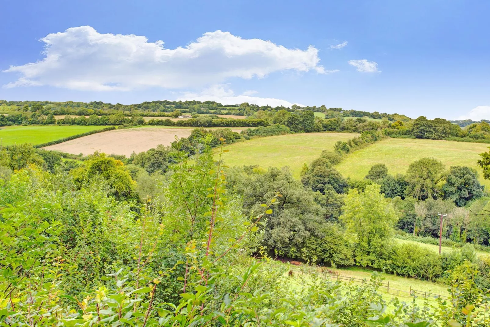 Higher House-Areas summer 1km