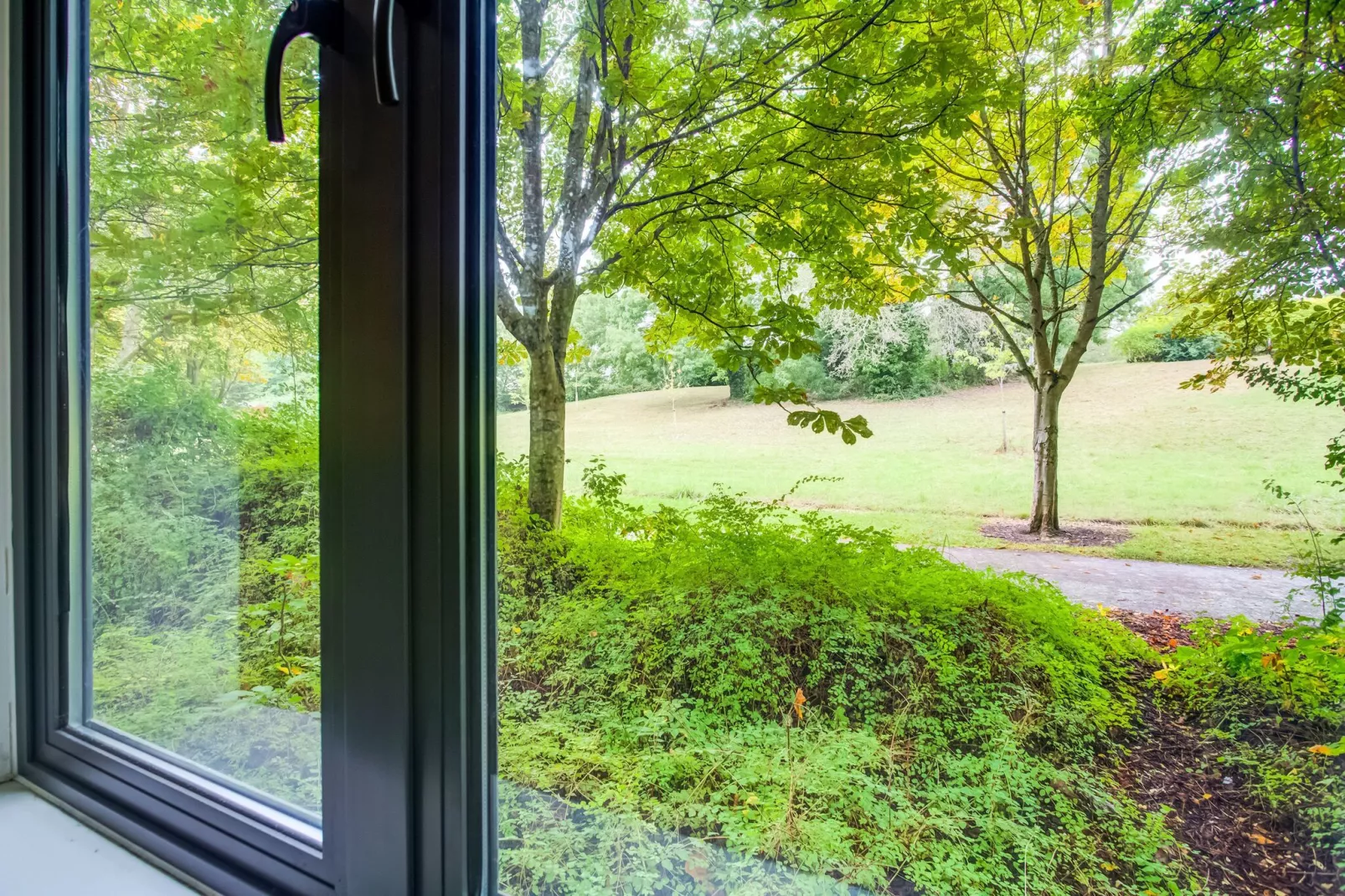 Clyde House-View summer