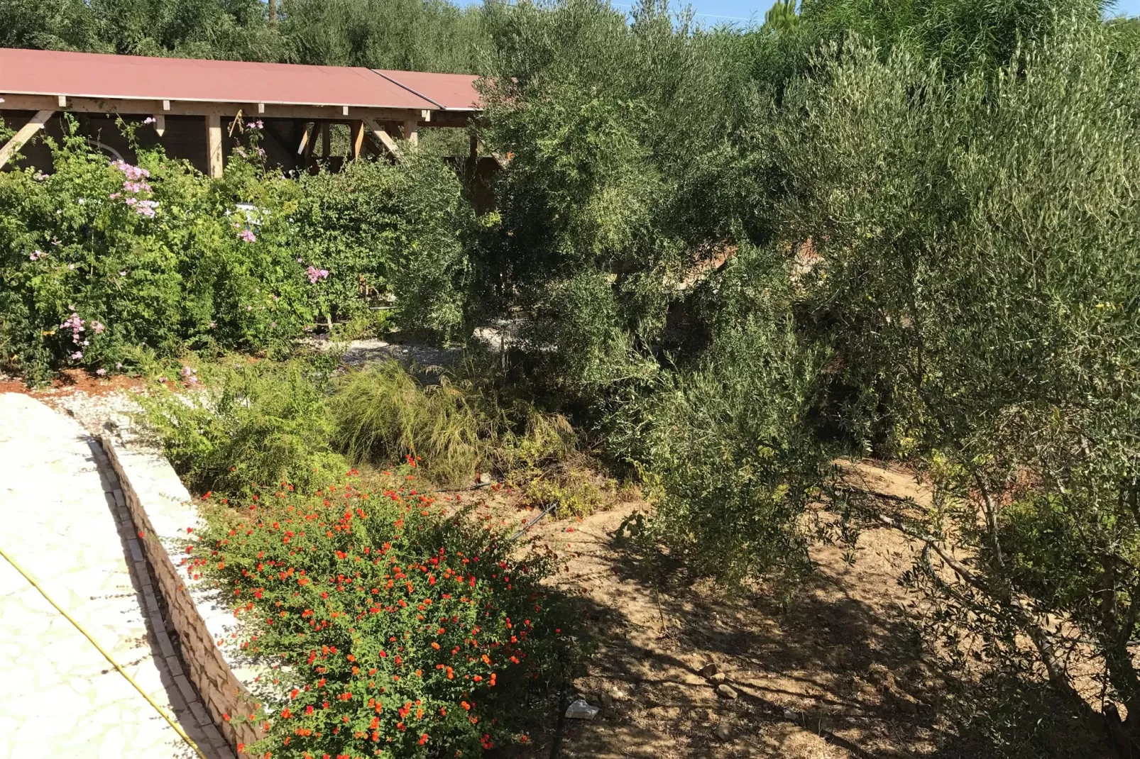 Villa Itia-Jardin d'été