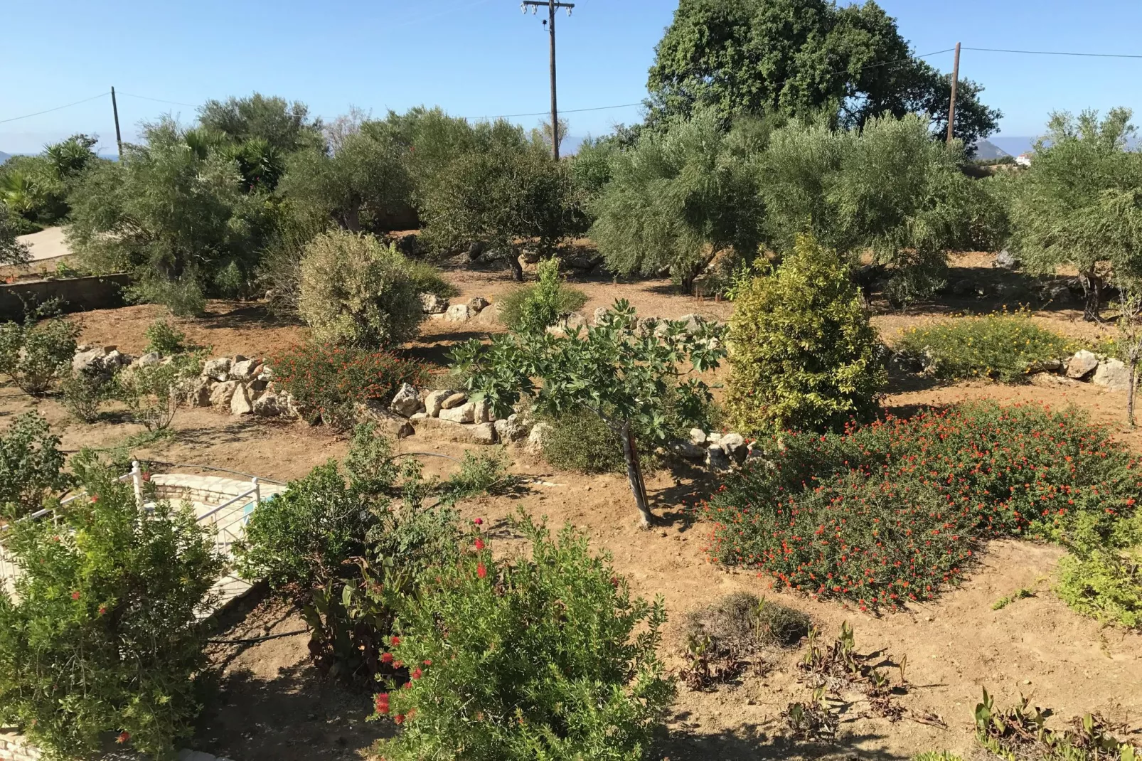 Villa Itia-Vue d'été
