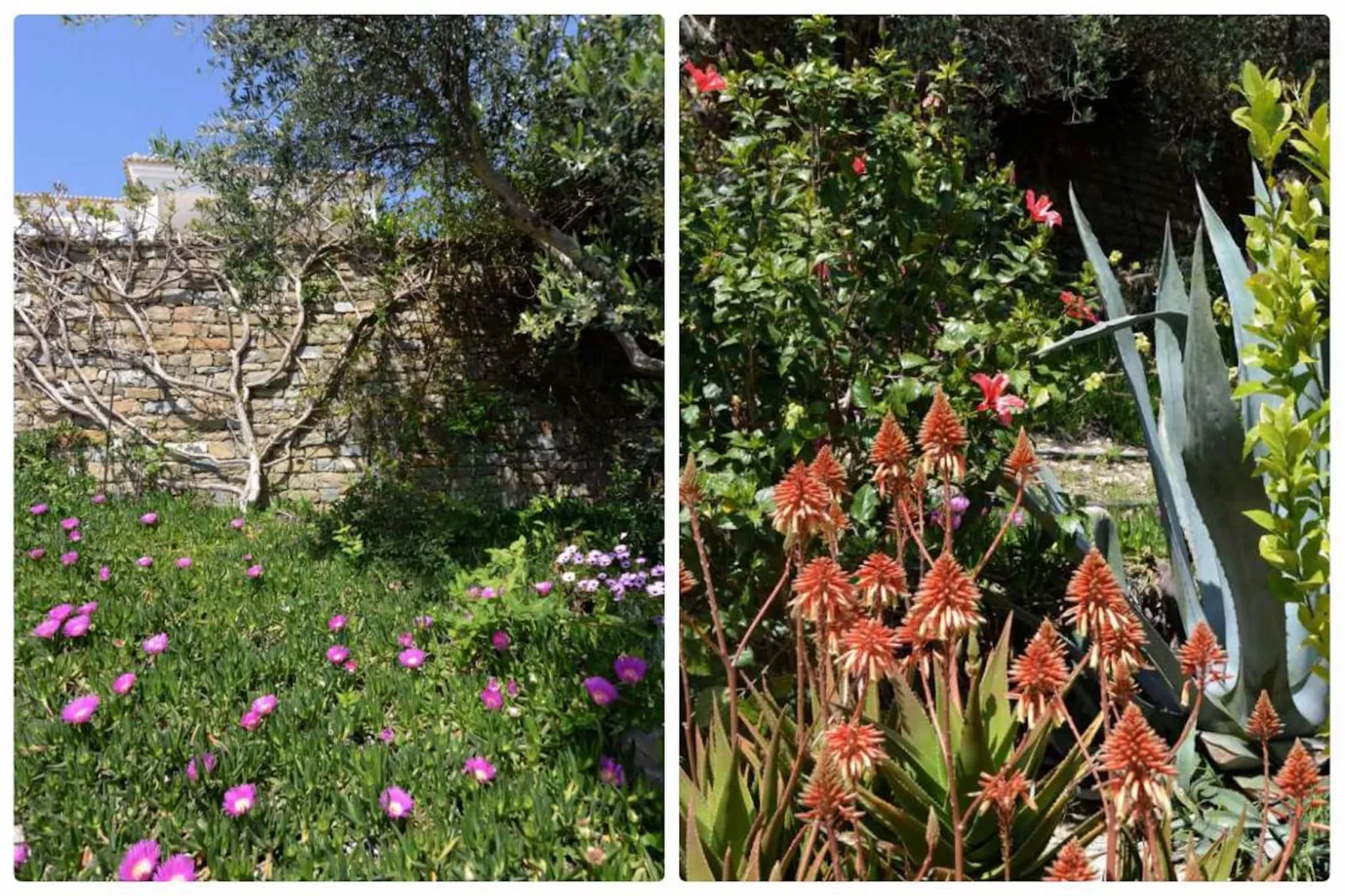 Villa I Gorgòna-Jardin d'été