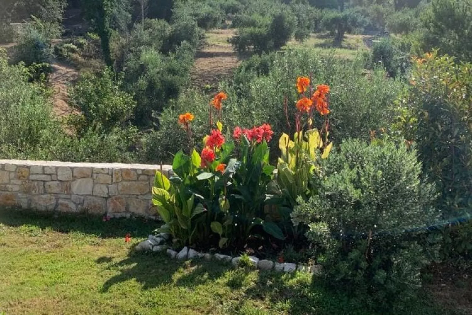 Villa Spirena-Gardens summer