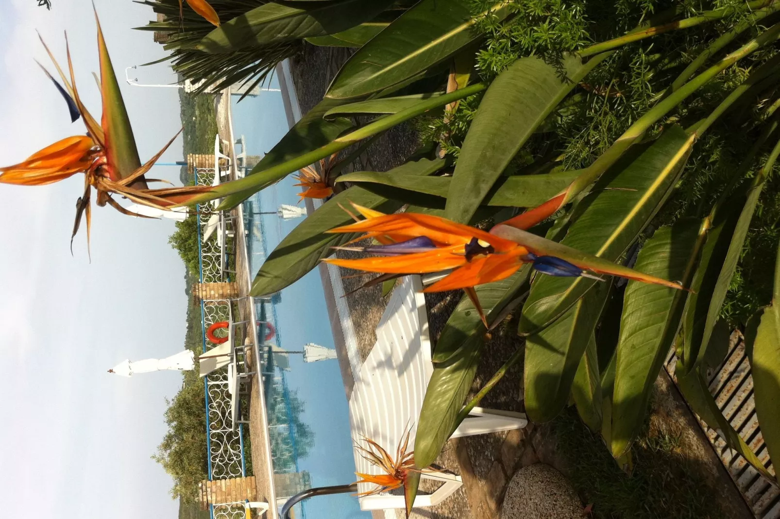 Fundana Family Apartment-Pool