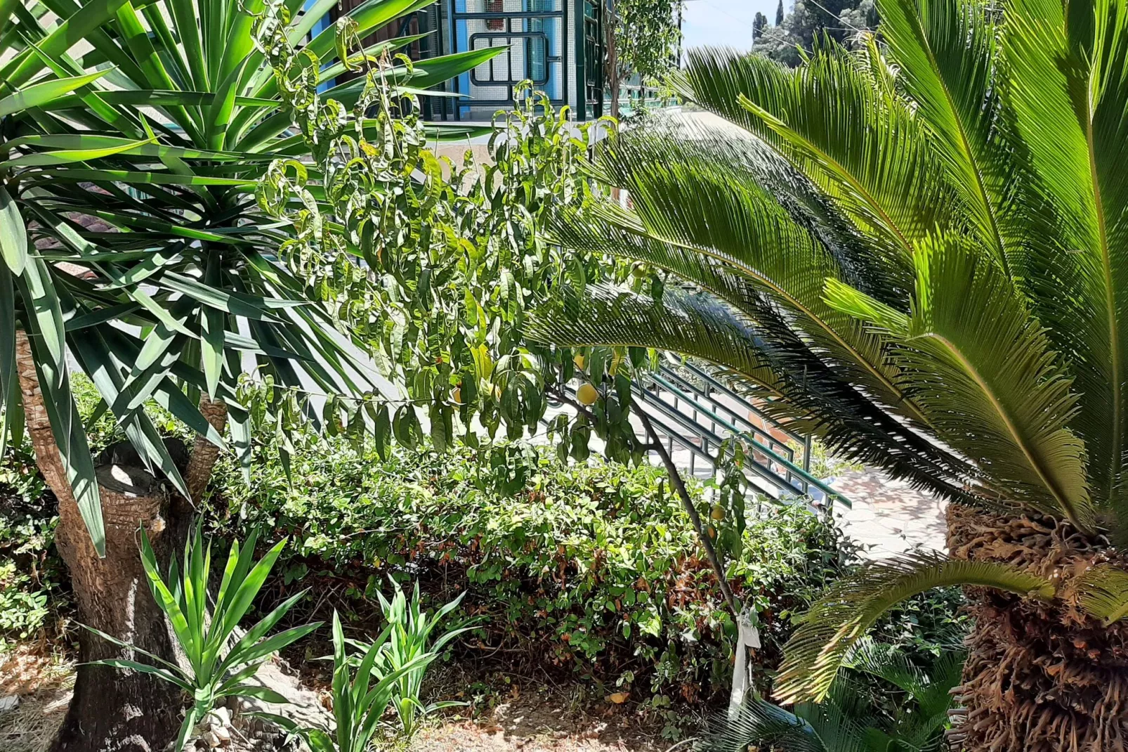 Andromaches Apartments Studio-Ambiente