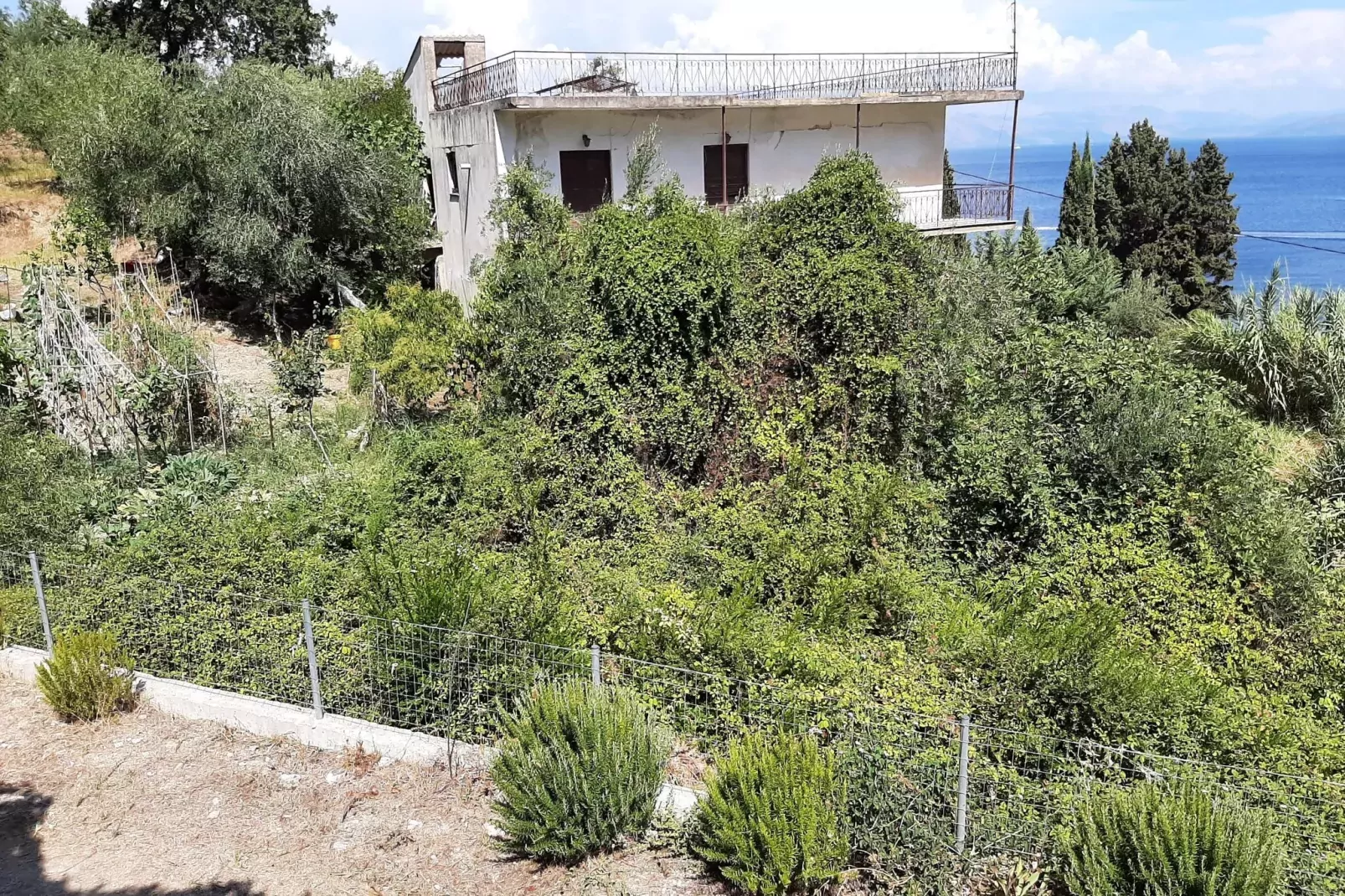 Andromaches Apartments Studio for 2-View summer