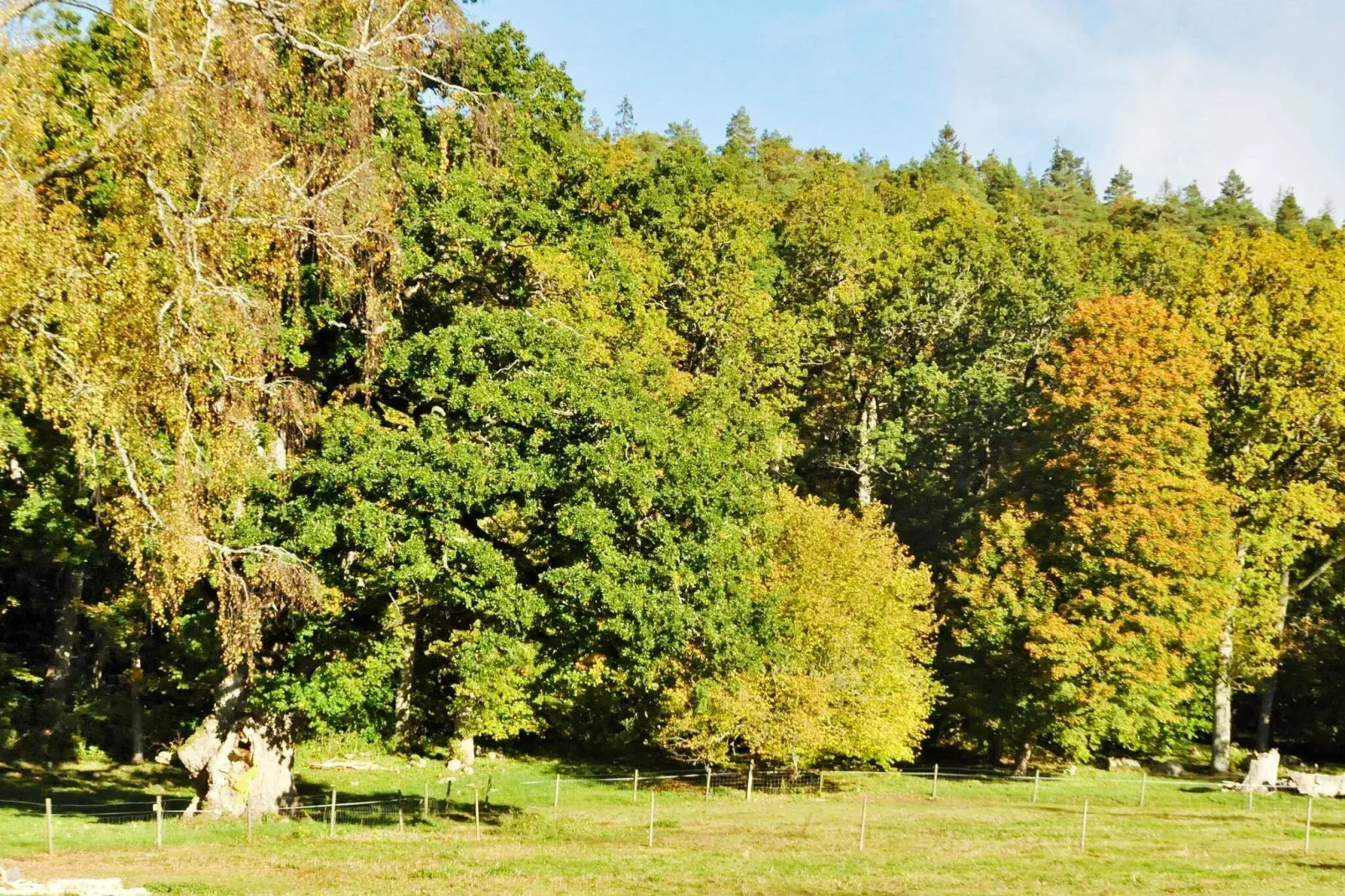 PRÄSTGÅRDEN 306-View