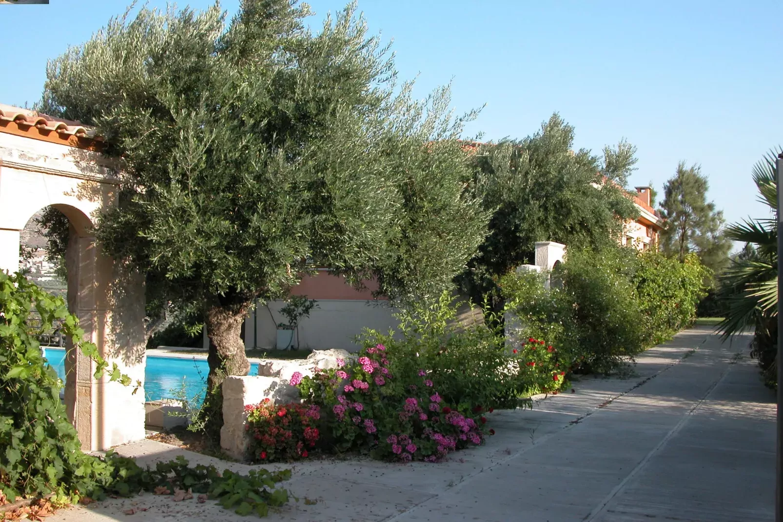 Villa Despoina-Exterior summer