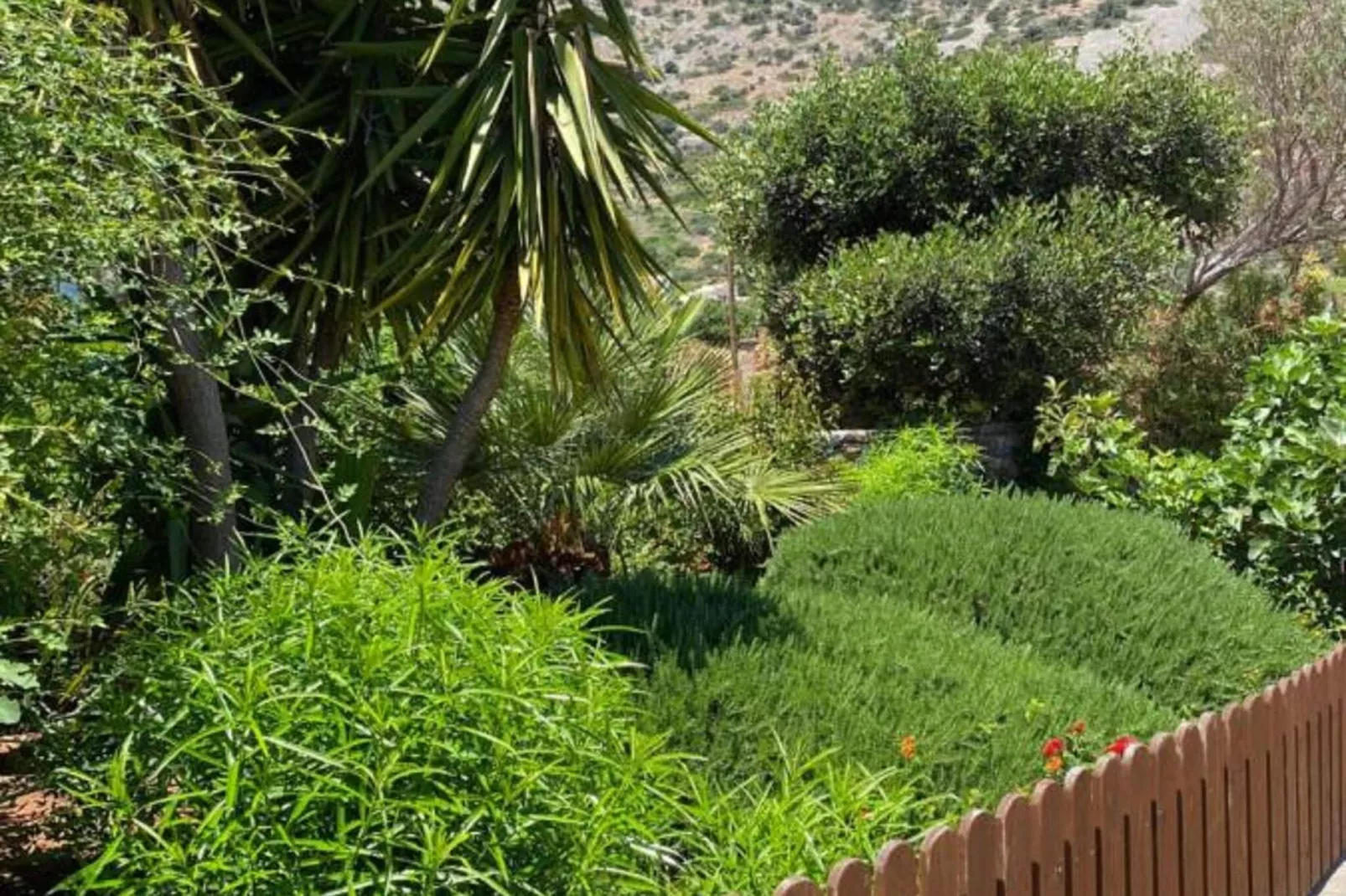 Elounda Plaka Luxury Villa-Jardin d'été