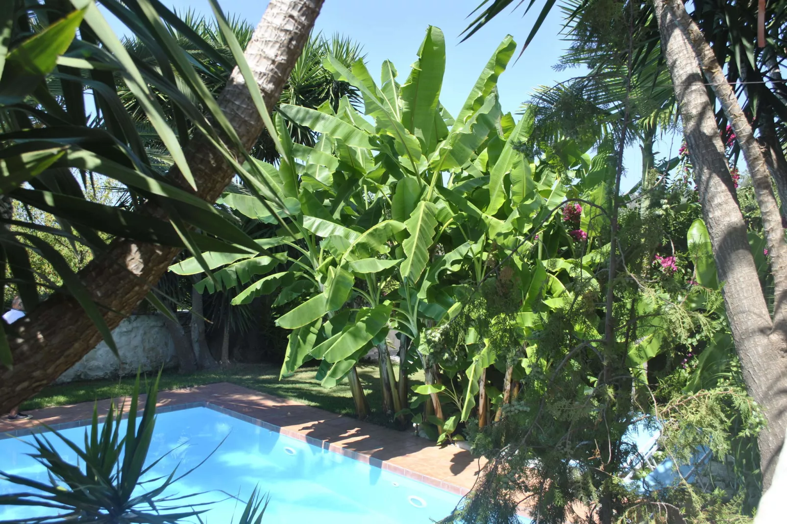 Villa Kostas-Exterior summer