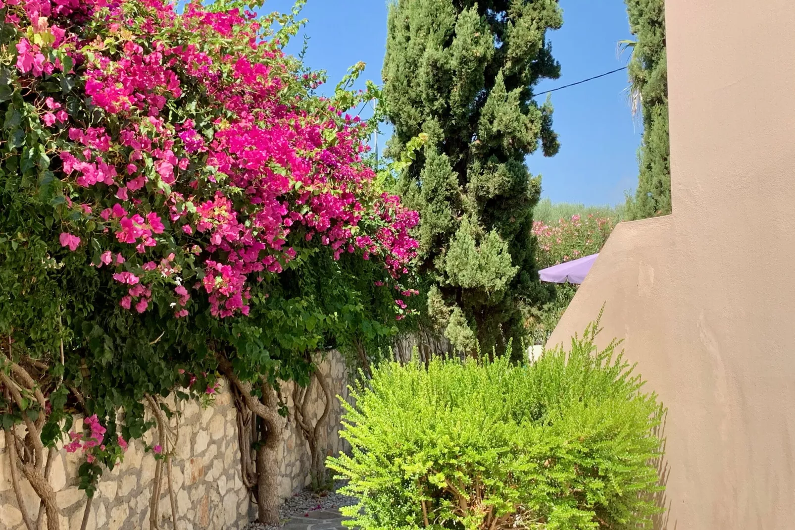 Villa in Loutra-Gardens summer